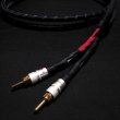 画像1: Q-10 DT-Biwire 2.0m pair